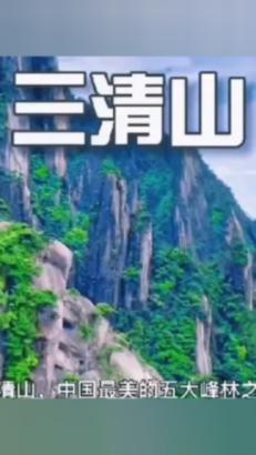 逃离森林边缘