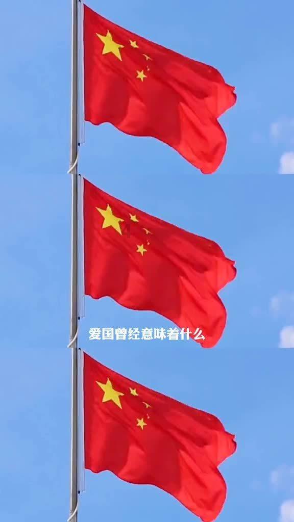 可爱小猫向上跳