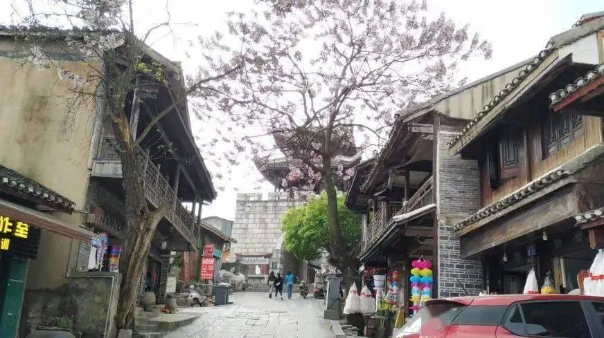 绿色猎人住宅逃生