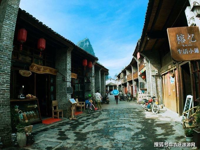 昆明市2023年花卉产业主题劳动竞赛总结交流会暨通报表扬会在呈贡召开