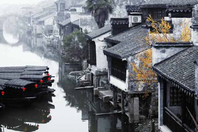 金币放置